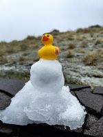 Vereinzelt liegt noch Schnee - schnell weg hier &ndash; &copy; Simone Willner (Eberhardt TRAVEL)