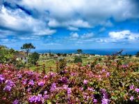 Blick auf Santana &ndash; &copy; Simone Willner (Eberhardt TRAVEL)