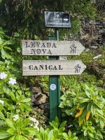 Auftakt zu unserer Wanderung entlang der Levada von Marocos &ndash; &copy; Simone Willner (Eberhardt TRAVEL)