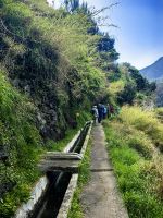 Auf solch einem Weg kann man sich nicht verlaufen  &ndash; &copy; Simone Willner (Eberhardt TRAVEL)