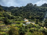 Bauernhäuser in der Nähe von Machico &ndash; &copy; Simone Willner (Eberhardt TRAVEL)