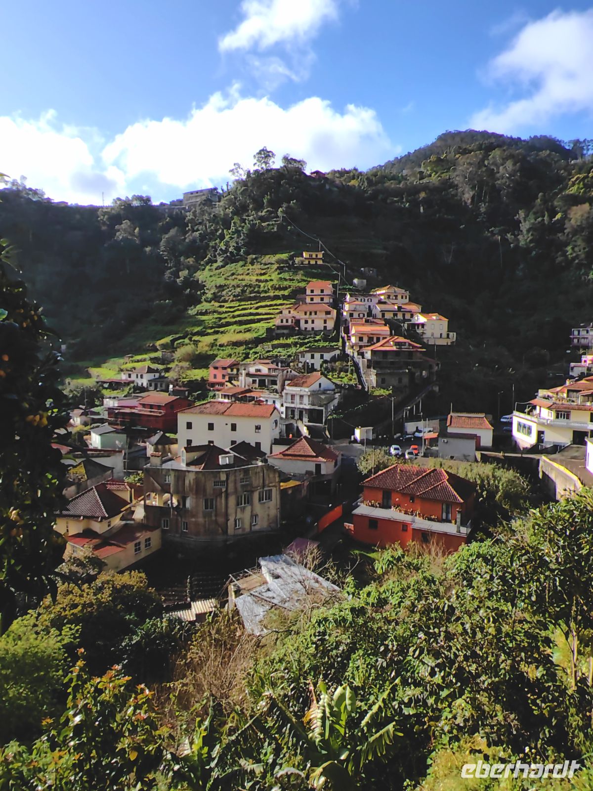 Blick auf die Terrassen und Häuser, Levada dos Marocos &ndash; &copy;  (Eberhardt TRAVEL)