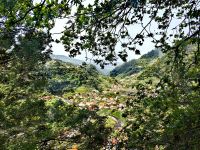 Ausblicke bei unserer Wanderung entlang der Levada dos Marocos &ndash; &copy; Simone Willner (Eberhardt TRAVEL)