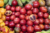 Tamarillo, die Baumtomaten schmecken leicht säuerlich fruchtig &ndash; &copy; Simone Willner (Eberhardt TRAVEL)
