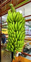 Bananen in der Markthalle &ndash; &copy; Simone Willner (Eberhardt TRAVEL)