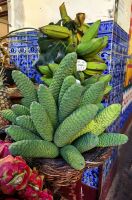 Die Früchte der Monstera schmecken wir eine Mischung aus Banane und Ananas &ndash; &copy; Simone Willner (Eberhardt TRAVEL)