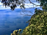 Ausblick vom Cabo Girao  &ndash; &copy; Simone Willner (Eberhardt TRAVEL)