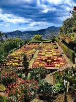 Im Botanischen Garten von Funchal &ndash; &copy; Simone Willner (Eberhardt TRAVEL)