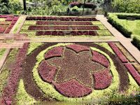 Schöne Bepflanzung im Botanischen Garten von Funchal &ndash; &copy; Simone Willner (Eberhardt TRAVEL)