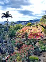 Blick über den Botanischen Garten in Funchal &ndash; &copy; Simone Willner (Eberhardt TRAVEL)