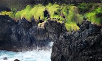 Landschaft wie in Schottland - Porto Moniz &ndash; &copy; Simone Willner (Eberhardt TRAVEL)