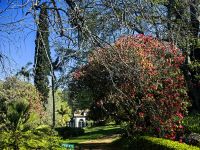 Blandys Garten in Funchal &ndash; &copy; Simone Willner (Eberhardt TRAVEL)