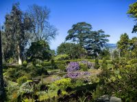 Blandys Garten ist eine traumhafte riesige Privatgartenanlage oberhalb Funchals &ndash; &copy; Simone Willner (Eberhardt TRAVEL)