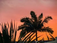 Abendhimmel in Funchal &ndash; &copy; Simone Willner (Eberhardt TRAVEL)