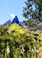 Blick auf den Zuckerhut von Madeira, Ribeira Brava Serra de Agua &ndash; &copy; Simone Willner (Eberhardt TRAVEL)