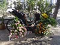 Funchal + Blumenfest &ndash; &copy; Hans-Joachim Trutz (Eberhardt TRAVEL)