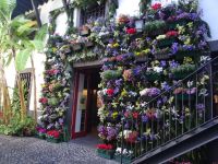 Blandys + Blumenfest &ndash; &copy; Hans-Joachim Trutz (Eberhardt TRAVEL)