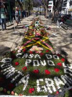Funchal + Blumenfest &ndash; &copy; Hans-Joachim Trutz (Eberhardt TRAVEL)