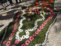 Funchal + Blumenfest &ndash; &copy; Hans-Joachim Trutz (Eberhardt TRAVEL)