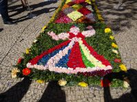Funchal + Blumenfest &ndash; &copy; Hans-Joachim Trutz (Eberhardt TRAVEL)