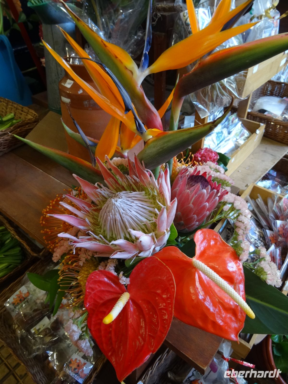 Funchal + Blumenfest &ndash; &copy;  (Eberhardt TRAVEL)