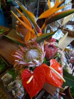 Funchal + Blumenfest &ndash; &copy; Hans-Joachim Trutz (Eberhardt TRAVEL)