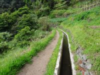 entlang der Levada von Marocos &ndash; &copy; Hans-Joachim Trutz (Eberhardt TRAVEL)