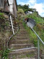 Levada Wanderung - Treppenaufstieg &ndash; &copy; Hans-Joachim Trutz (Eberhardt TRAVEL)