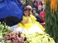 Funchal - Blumenkorso &ndash; &copy; Hans-Joachim Trutz (Eberhardt TRAVEL)