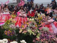Funchal - Blumenkorso &ndash; &copy; Hans-Joachim Trutz (Eberhardt TRAVEL)