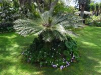 Quinta Splendida &ndash; &copy; Hans-Joachim Trutz (Eberhardt TRAVEL)