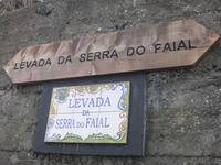 Wanderung an der Levada da Serra do Faial