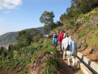 Auf zur Levada-Wanderung