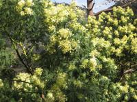 Auf der Levada-Wanderung