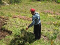 Bauer bei der Arbeit