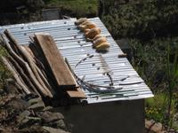 Kürbisse werden auf dem Dach gelagert