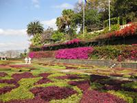 Im Botanischen Garten von Funchal