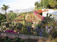 Im Botanischen Garten von Funchal