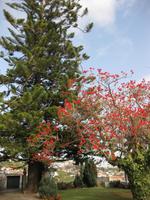 ... im Garten am Herrenhaus