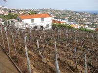 Blick vom Garten des Herrenhauses