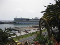 Blick vom Santa Catarina Park auf den Hafen