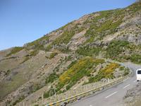 So geht die Straße weiter zur Hochebene Paul da Serra