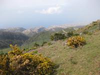 Blick von der Hochebene Paul da Serra zur Küste