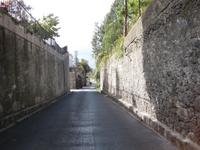 Korbschlittenfahrt in Monte