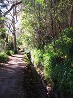 während der Levada-Wanderung im Paradiestal