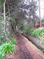 während der Levada-Wanderung im Paradiestal