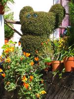 während der Levada-Wanderung im Paradiestal