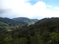 Blick vom Englischen Ausblick