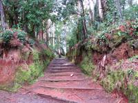 In einer öffentlichen Quinta in Santo da Serra