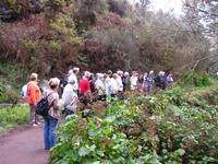 während der Levada-Wanderung im Paradiestal